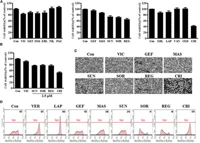 Low-Dose Crizotinib, a Tyrosine Kinase Inhibitor, Highly and Specifically Sensitizes P-Glycoprotein-Overexpressing Chemoresistant Cancer Cells Through Induction of Late Apoptosis in vivo and in vitro